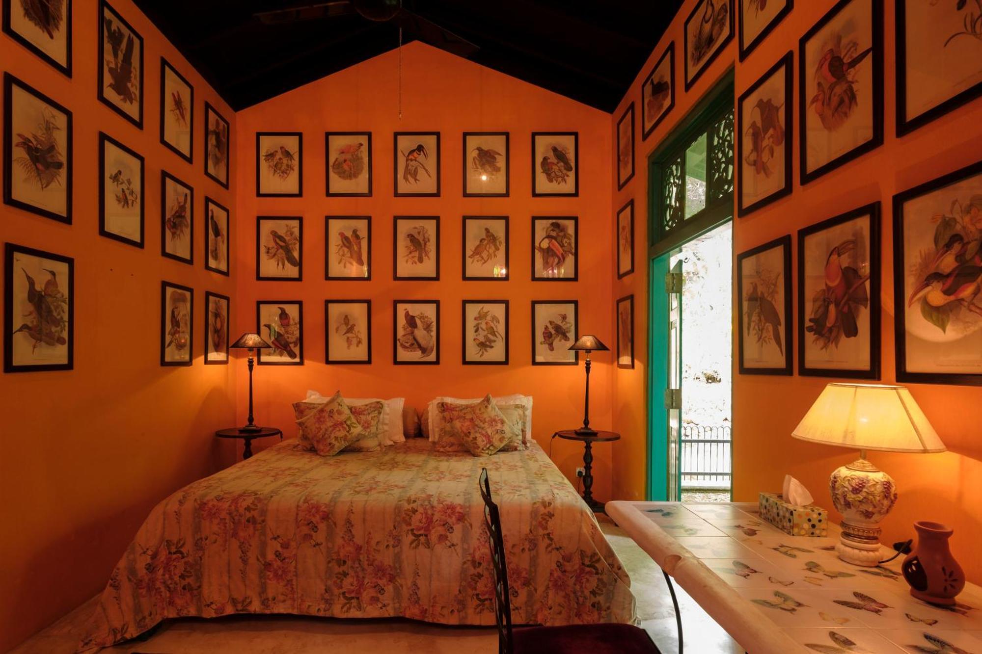 Hotel Casa Heliconia Gampaha Exteriér fotografie
