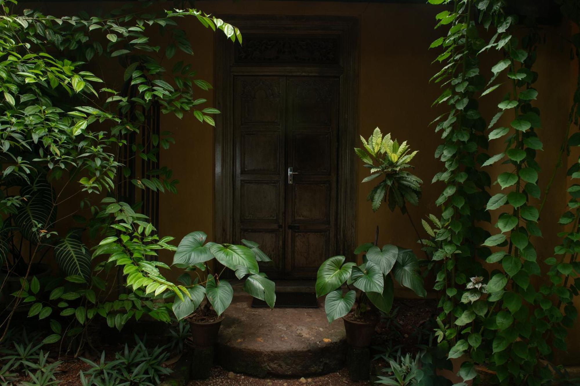 Hotel Casa Heliconia Gampaha Exteriér fotografie