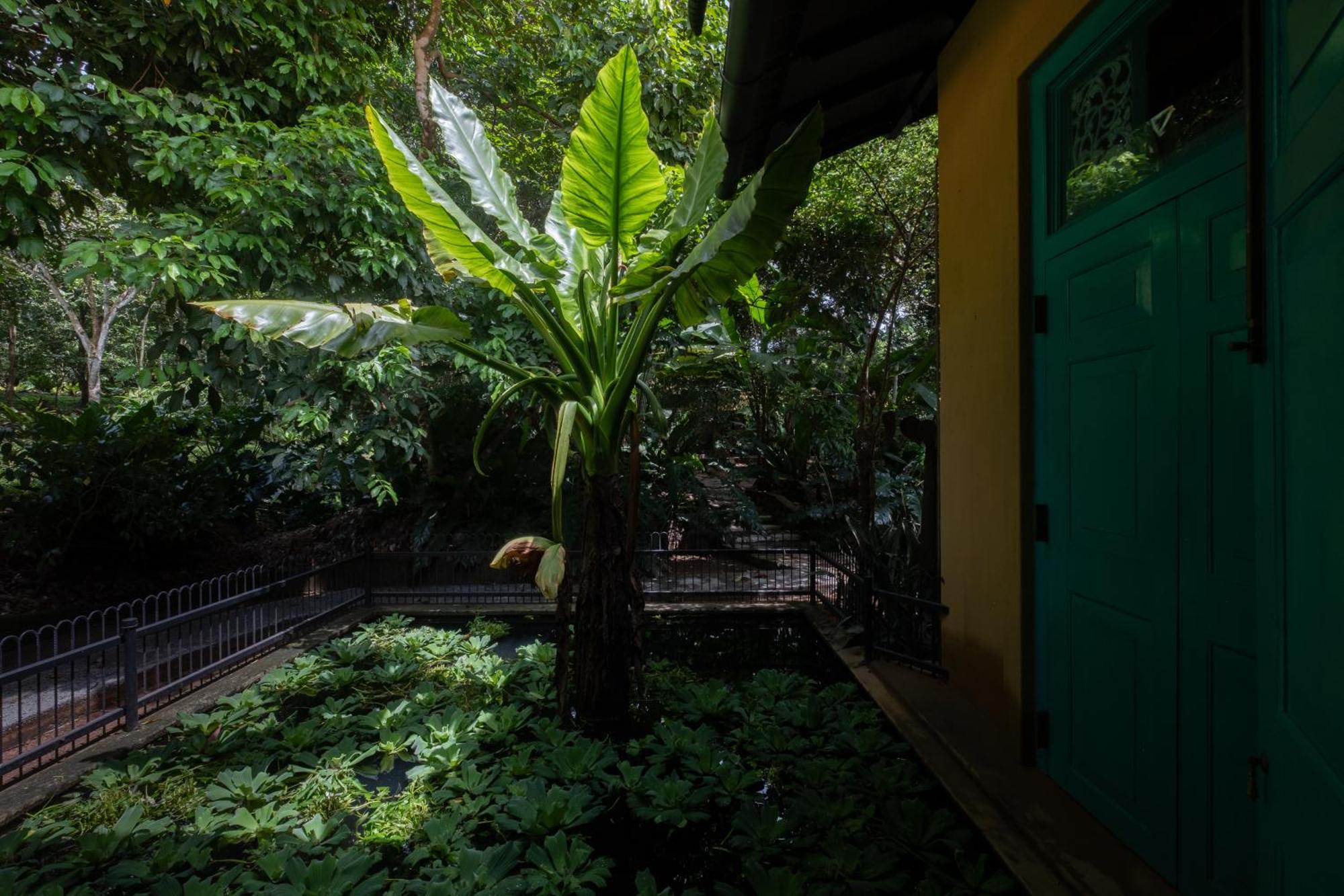 Hotel Casa Heliconia Gampaha Exteriér fotografie